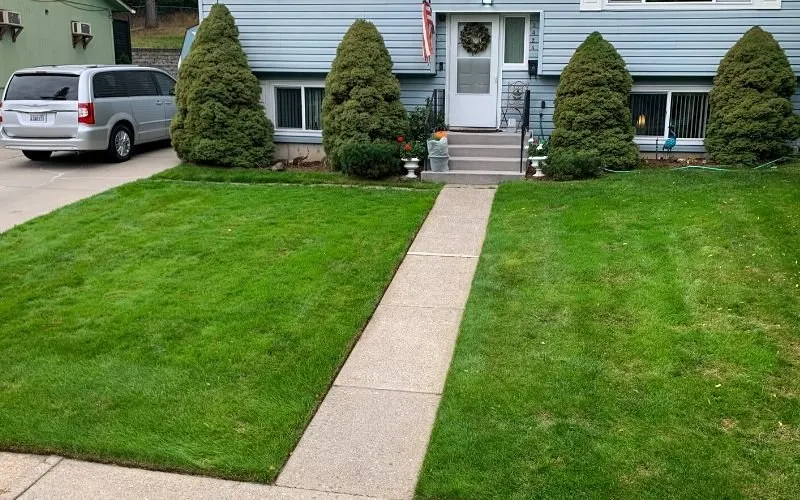 Expert lawn mowing service near you across Minneapolis, MN - Steven Lawn care