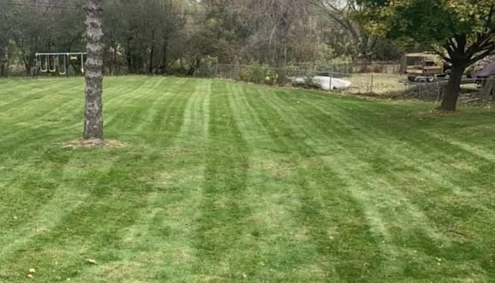 Trusted lawn mowing service in Minneapolis, MN - Steven Lawn care