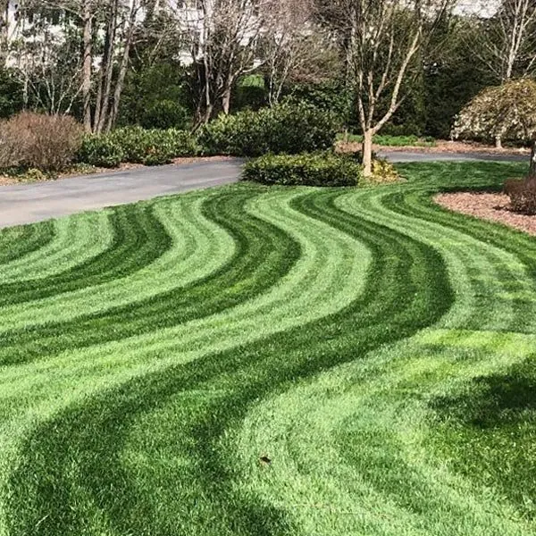 Professional lawn mowing service for homes in Minneapolis, MN by Steven Lawn care