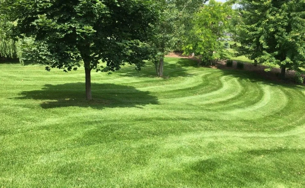 Reliable landscape installation for year-round maintenance across Minneapolis, MN - Steven Lawn care