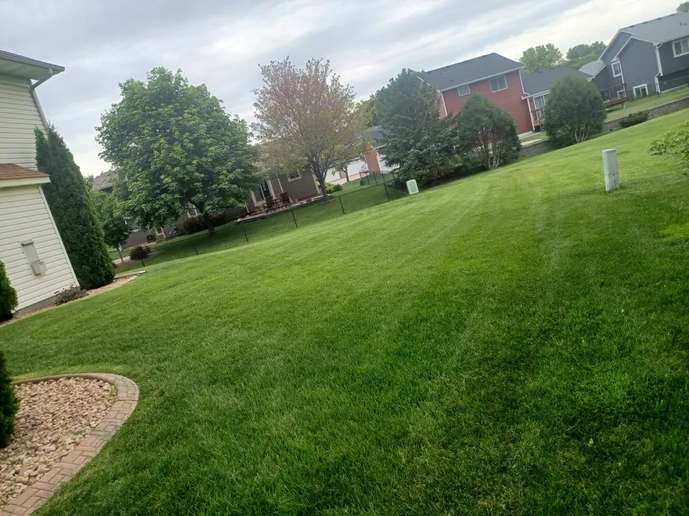 Affordable yard maintenance experts serving Minneapolis, MN - Steven Lawn care