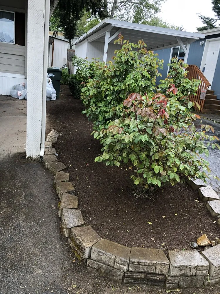 Local lawn mowing service for year-round maintenance in Olympia, WA by Steven Lawn Service