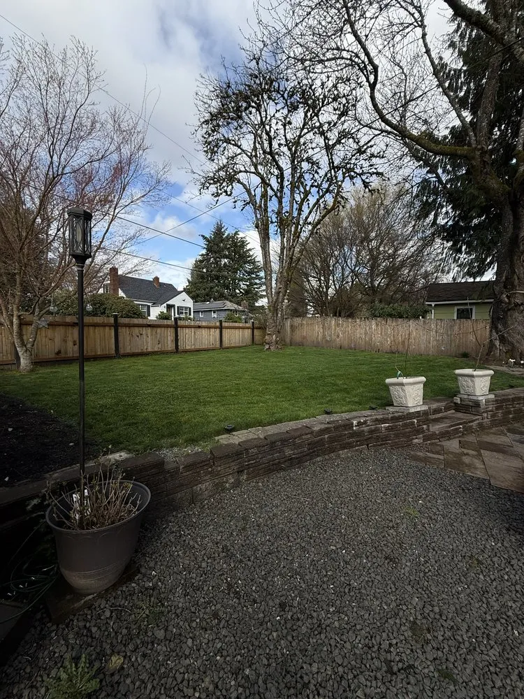 Local yard cleanup service for year-round maintenance in Olympia, WA by Steven Lawn Service