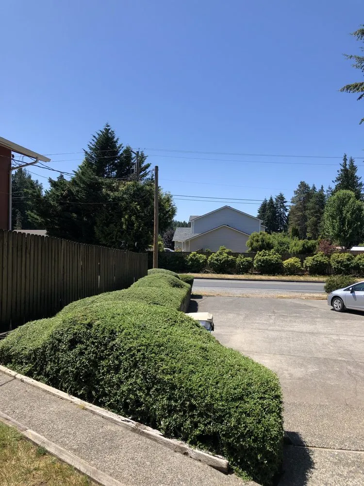 Custom garden landscaping in Olympia, WA - Steven Lawn Service