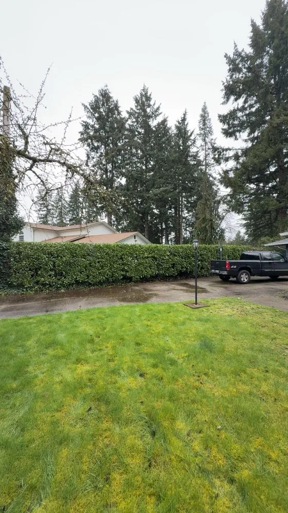Local outdoor landscaping in Olympia, WA by Steven Lawn Service