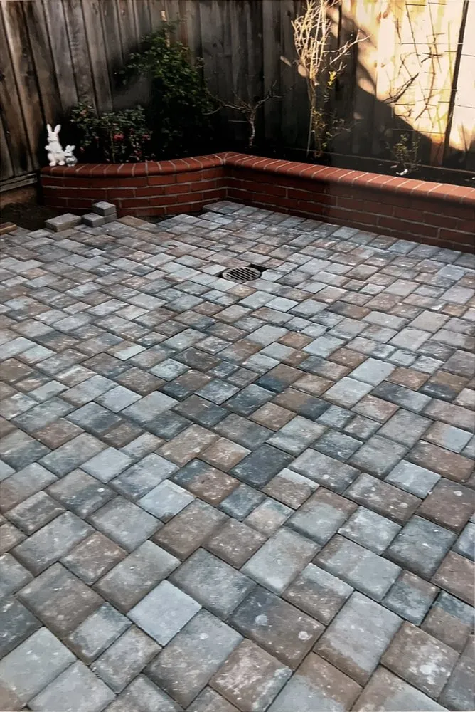 Top-rated lawn care service experts serving Daly City, CA - Steven Mai Landscaping