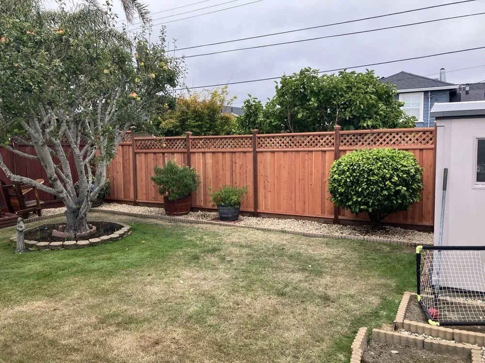 Expert lawn mowing service experts serving Daly City, CA - Steven Mai Landscaping