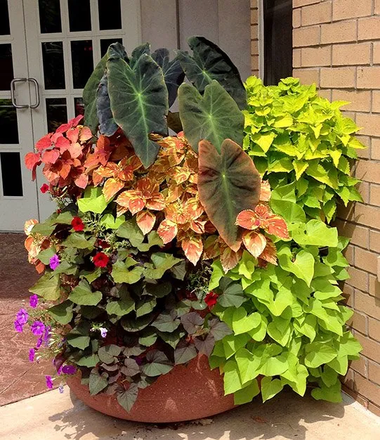 Reliable landscape design in Verona, WI by Steven R Bassett