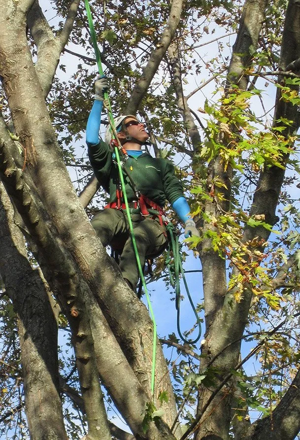 Reliable residential landscaping for year-round maintenance across Verona, WI - Steven R Bassett