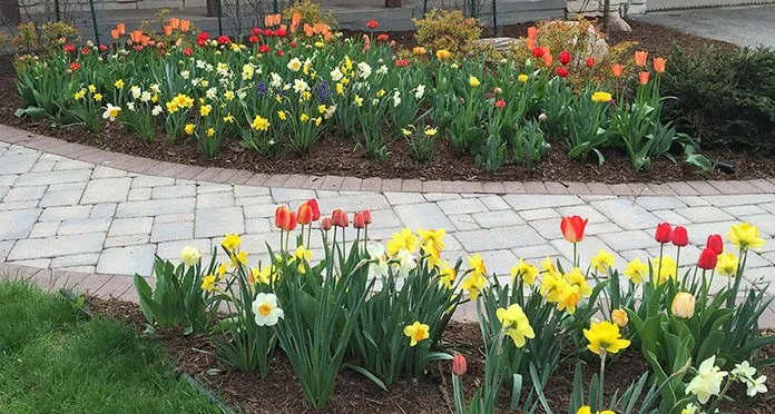 Custom lawn care service in Verona, WI - Steven R Bassett