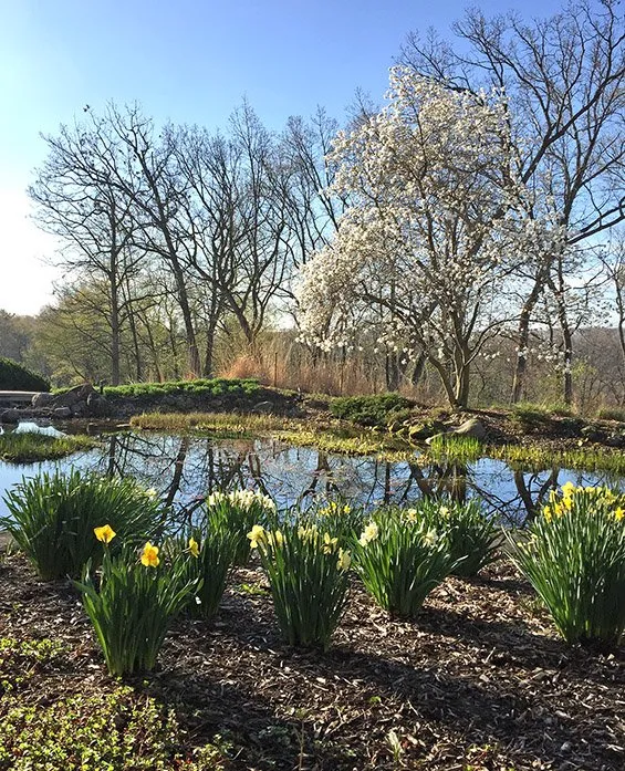 Expert yard cleanup service with custom design in Verona, WI by Steven R Bassett