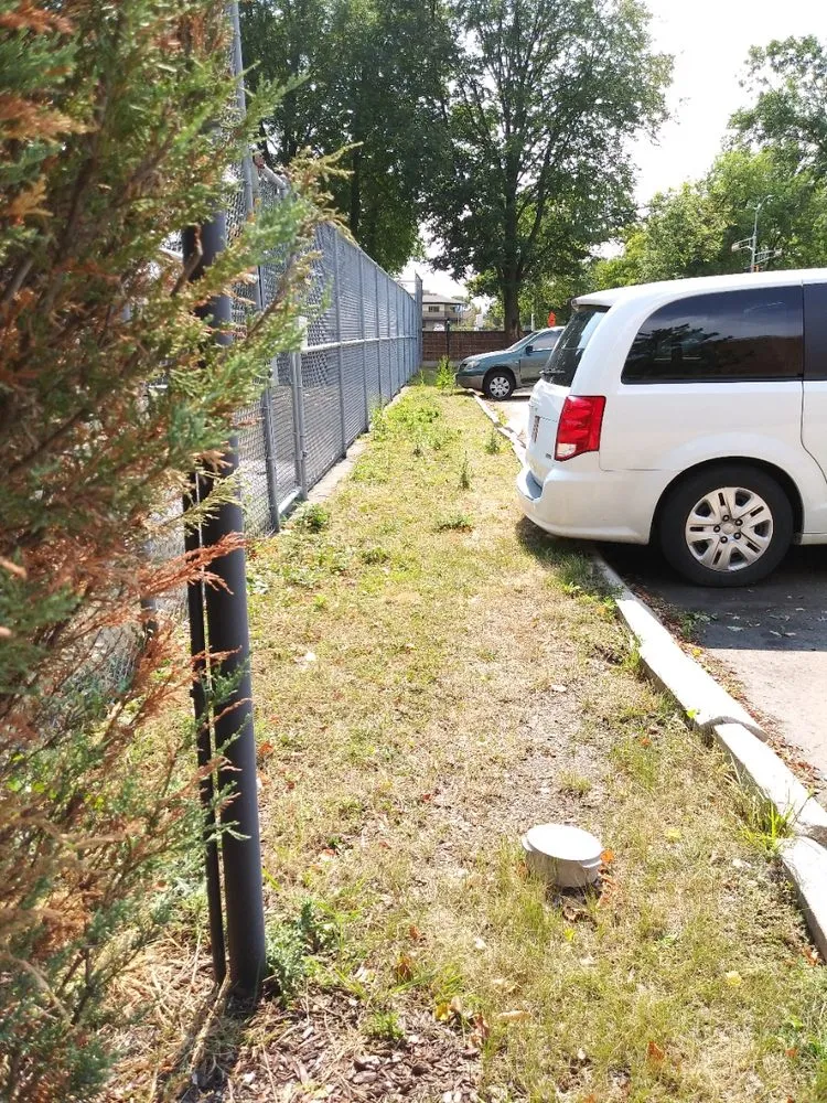 Professional garden landscaping in Verona, WI by Steven R Bassett