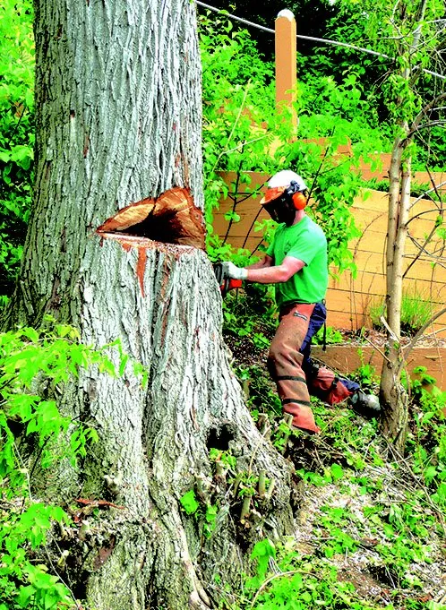 Top-rated residential landscaping for beautiful yards in Verona, WI by Steven R Bassett