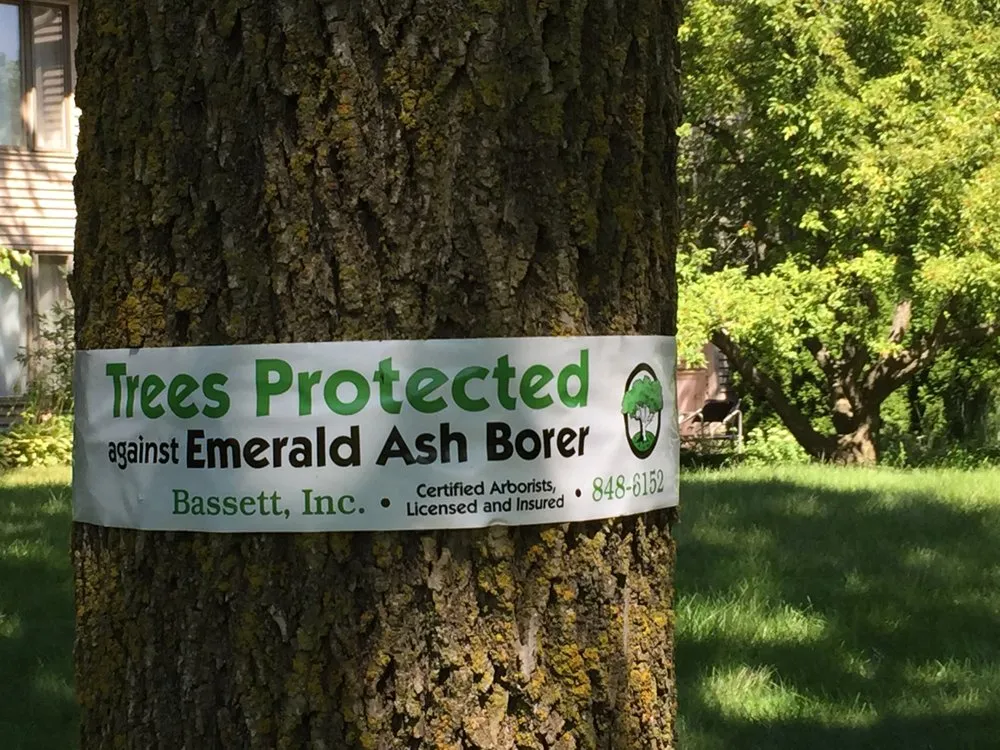 Professional yard cleanup service in Verona, WI by Steven R Bassett