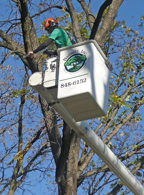 Reliable landscape design in Verona, WI by Steven R Bassett