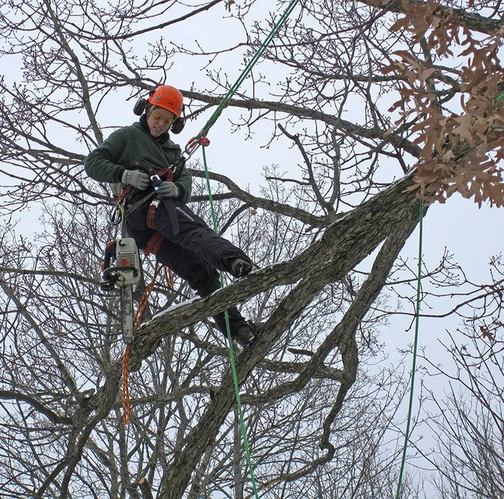 Reliable yard maintenance in Verona, WI by Steven R Bassett