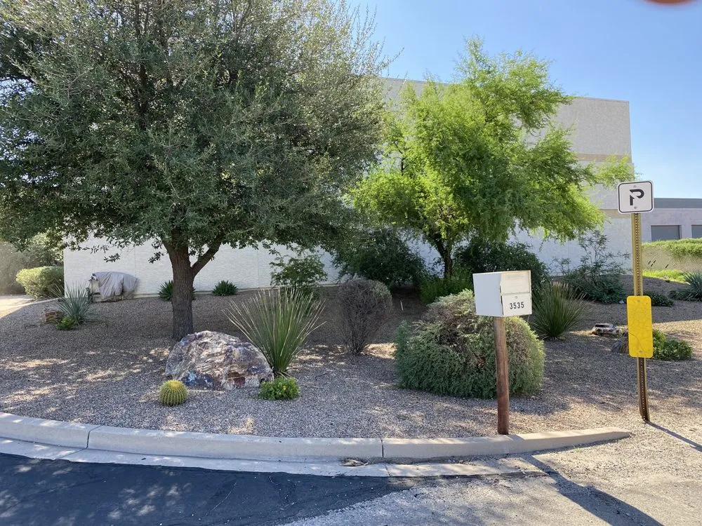 Top-rated lawn mowing service in Tucson, AZ - Steven Resendiz Landscaping