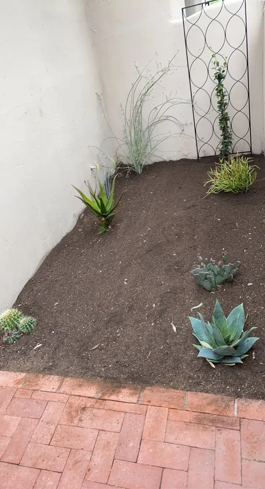 Local yard maintenance experts serving Tucson, AZ - Steven Resendiz Landscaping