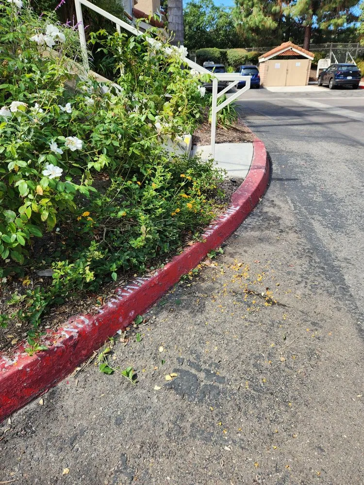 Reliable garden landscaping for homes in Escondido, CA by Steven Smith Landscape