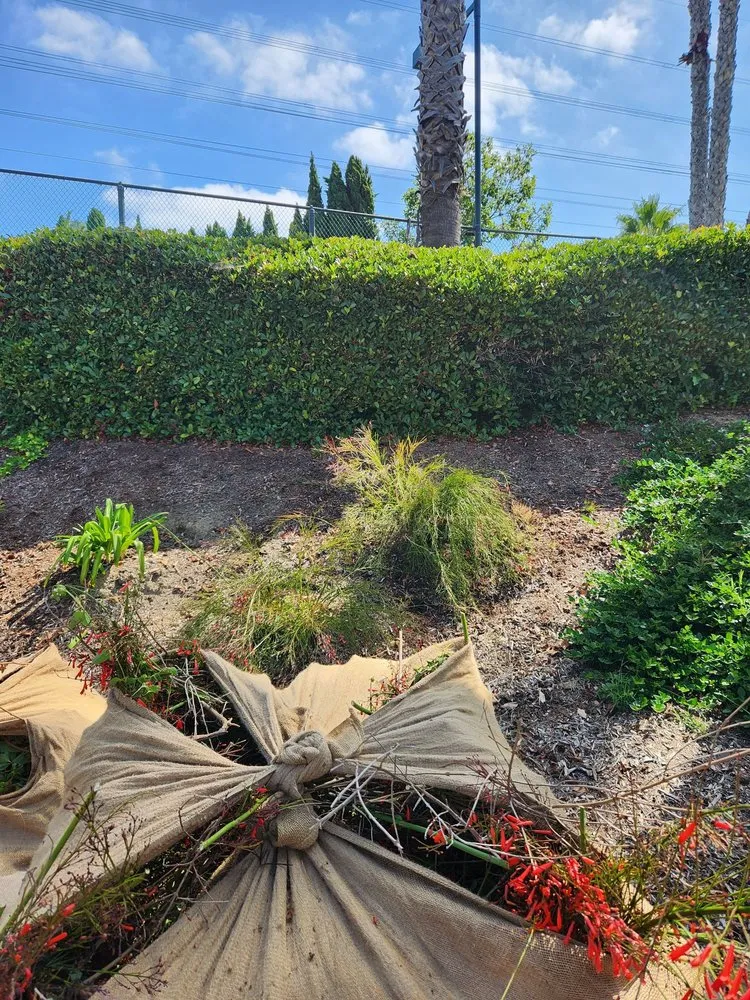 Top-rated landscaping services experts serving Escondido, CA - Steven Smith Landscape