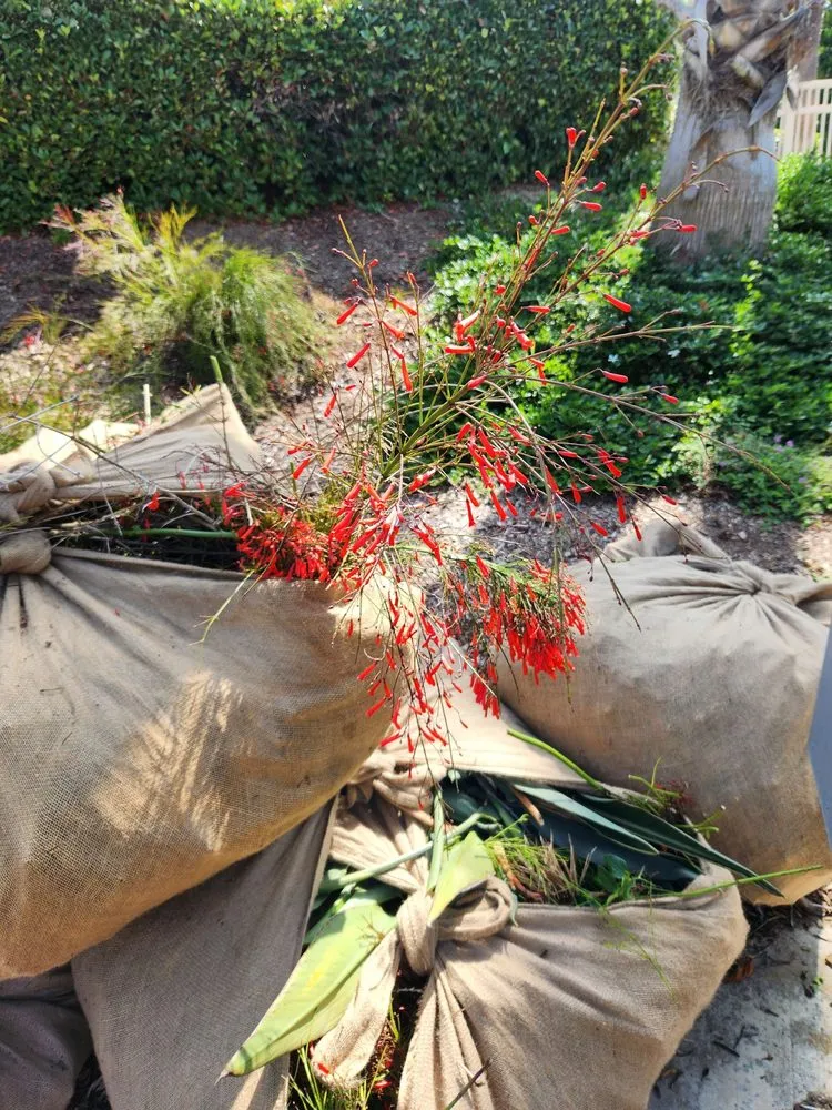 Affordable lawn care service for beautiful yards in Escondido, CA by Steven Smith Landscape