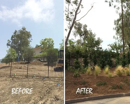 Affordable landscape design in Escondido, CA - Steven Smith Landscape