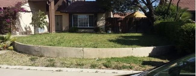 Custom yard cleanup service for beautiful yards across Moreno Valley, CA - Steven The Handyman