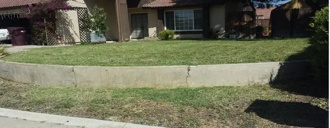 Affordable yard cleanup service for beautiful yards across Moreno Valley, CA - Steven The Handyman