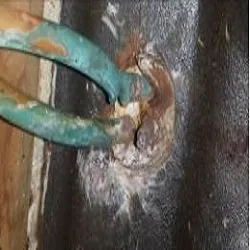 Custom residential landscaping for year-round maintenance across Moreno Valley, CA - Steven The Handyman