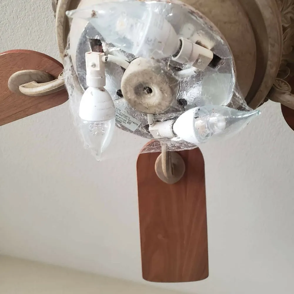 Affordable landscaping services for beautiful yards in Moreno Valley, CA by Steven The Handyman