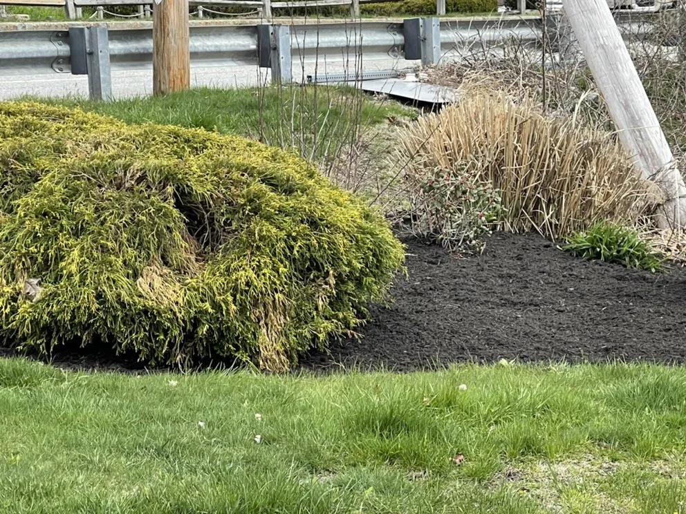 Expert lawn mowing service in Auburn, MA by Stevens & Son Lawn Maintenance