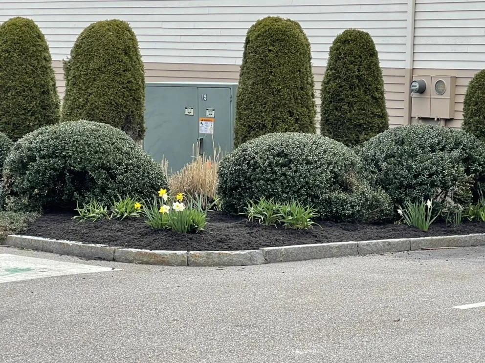 Professional outdoor landscaping for outdoor upgrades in Auburn, MA by Stevens & Son Lawn Maintenance