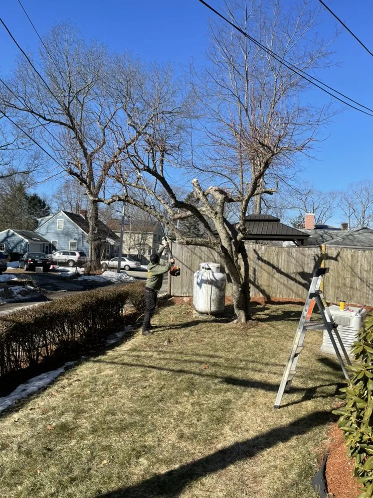 Reliable garden landscaping in Auburn, MA by Stevens & Son Lawn Maintenance