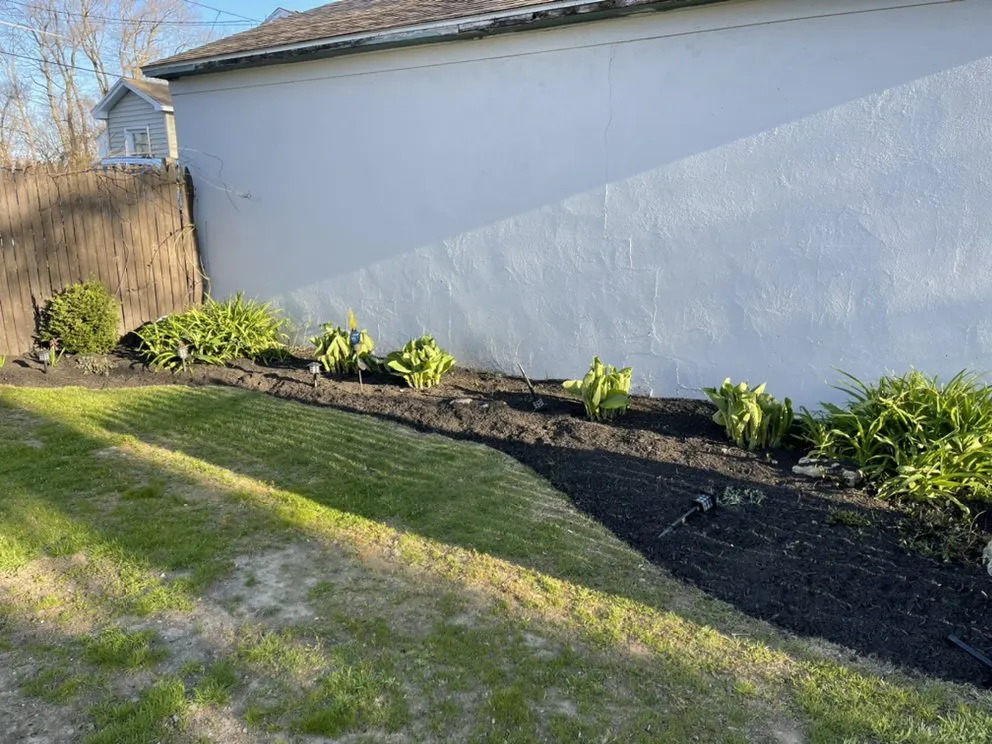 Top-rated lawn care service in Auburn, MA - Stevens & Son Lawn Maintenance