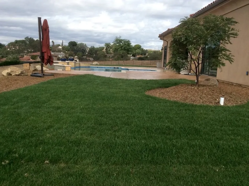 Professional lawn care service in Fallbrook, CA by Stevens Concrete and Construction