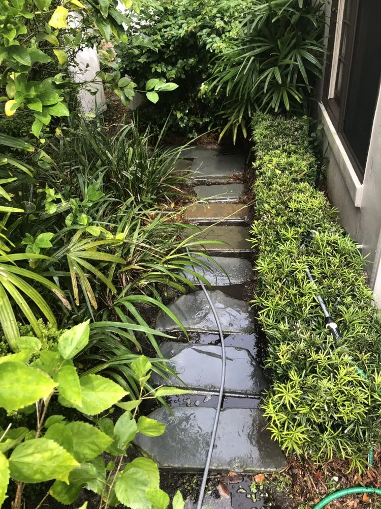 Top-rated lawn care service for homes across Jacksonville, FL - Stevens Elite Services