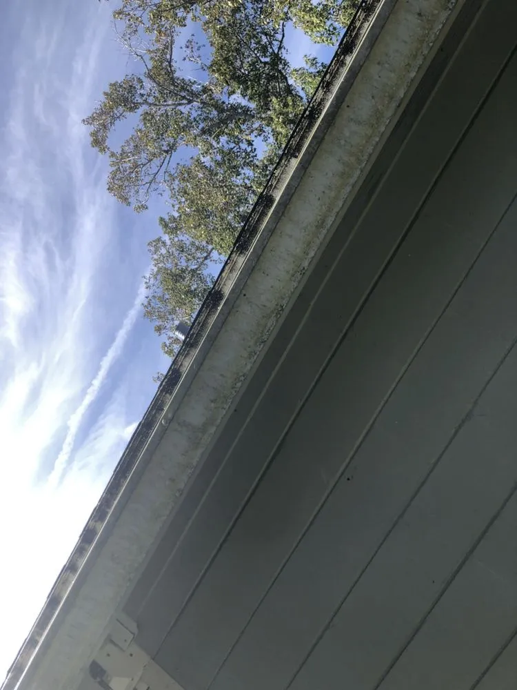 Custom residential landscaping for beautiful yards across Jacksonville, FL - Stevens Elite Services