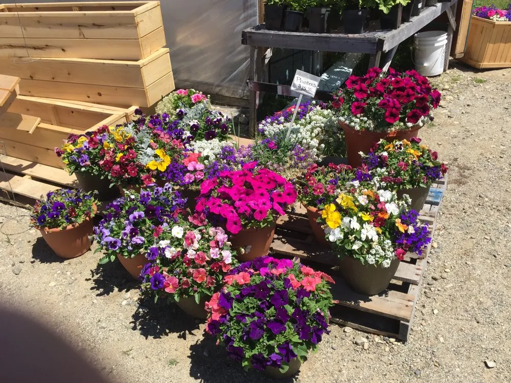 Top-rated landscaping services near you across Monmouth, ME - Stevens Farm & Greenhouses