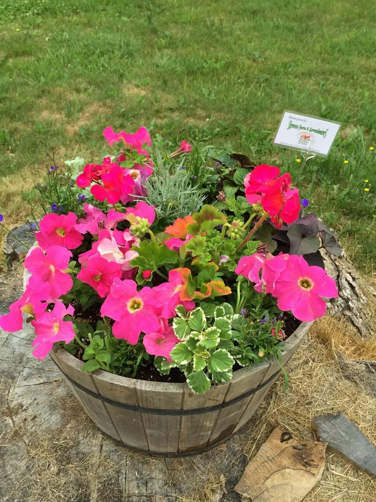 Local lawn mowing service for beautiful yards in Monmouth, ME by Stevens Farm & Greenhouses