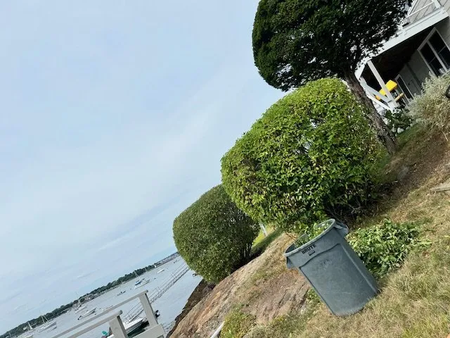 Custom yard cleanup service in Lynn, MA by Stevens Landscaping and Tree Service