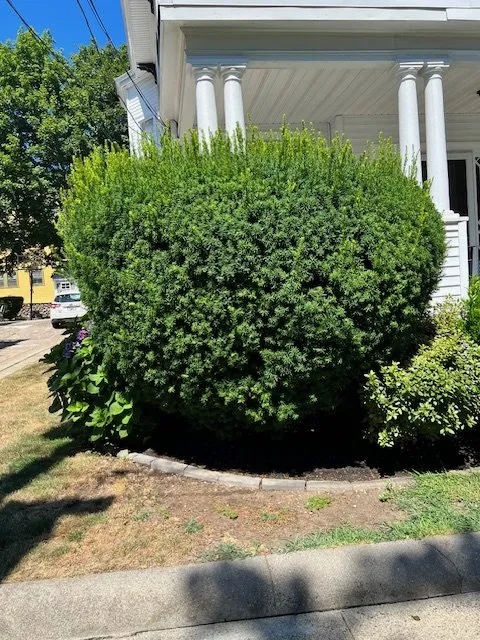 Professional landscaping services for year-round maintenance in Lynn, MA by Stevens Landscaping and Tree Service