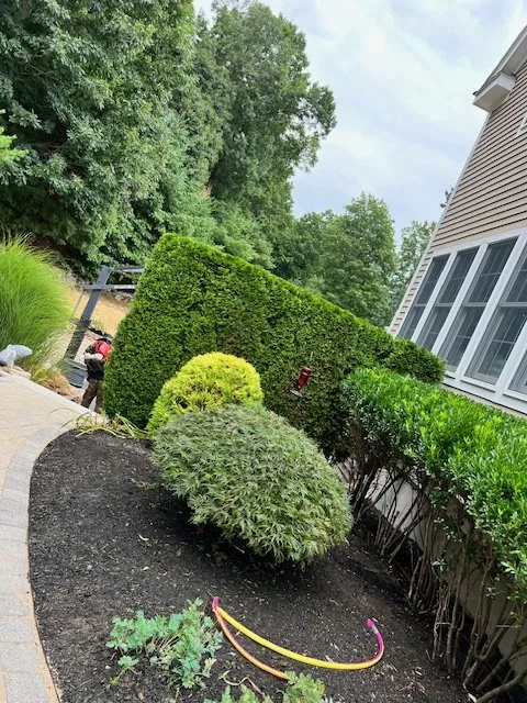 Affordable landscaping services experts serving Lynn, MA - Stevens Landscaping and Tree Service