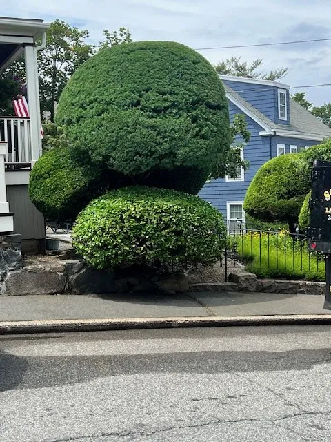 Trusted landscape design for year-round maintenance across Lynn, MA - Stevens Landscaping and Tree Service