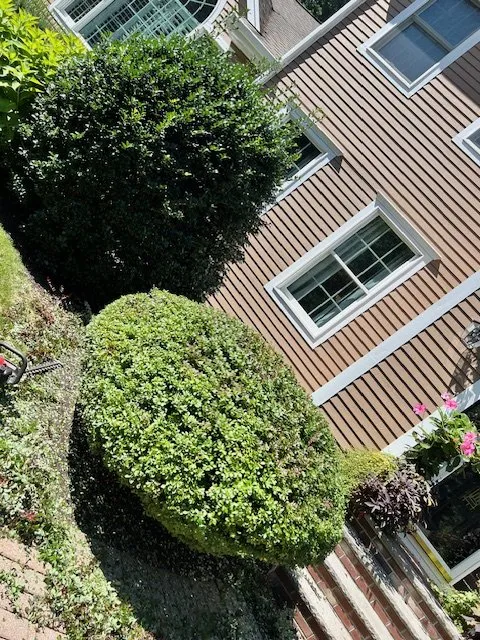 Affordable yard cleanup service for residential properties across Lynn, MA - Stevens Landscaping and Tree Service