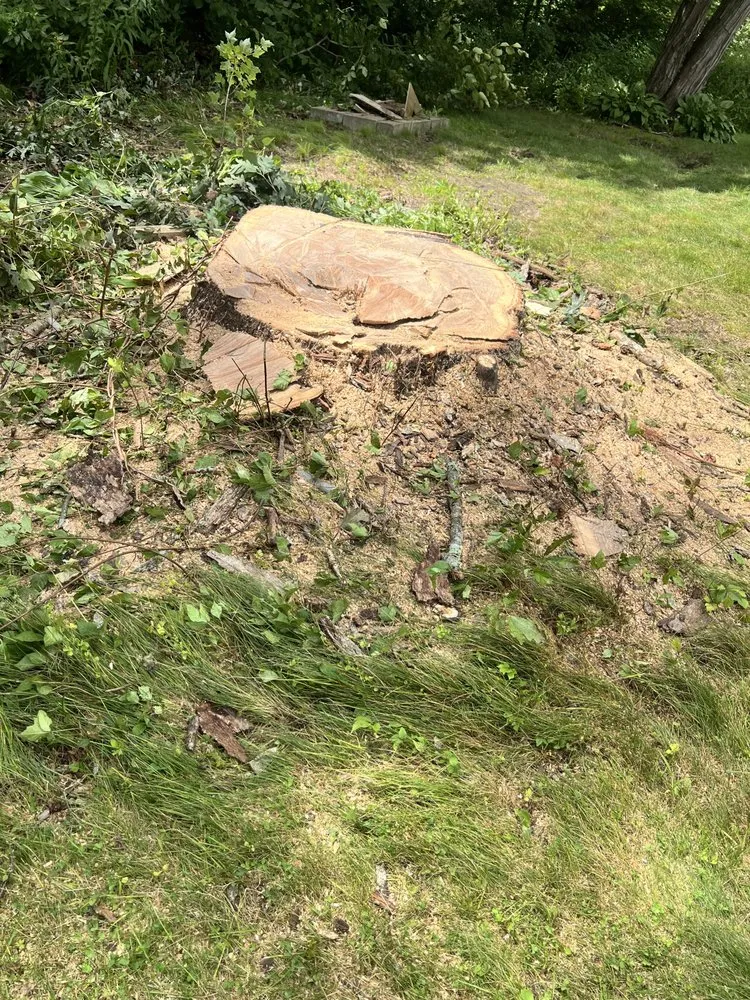 Trusted lawn care service experts serving Lynn, MA - Stevens Landscaping and Tree Service