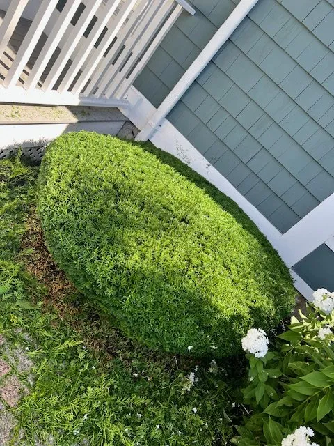 Expert garden landscaping for year-round maintenance in Lynn, MA by Stevens Landscaping and Tree Service