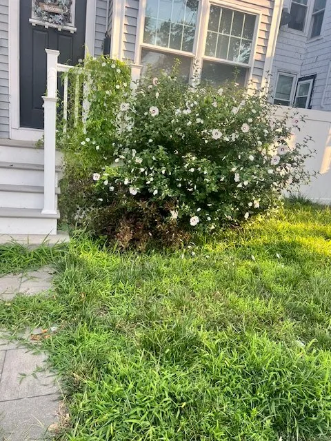 Affordable landscape design in Lynn, MA by Stevens Landscaping and Tree Service