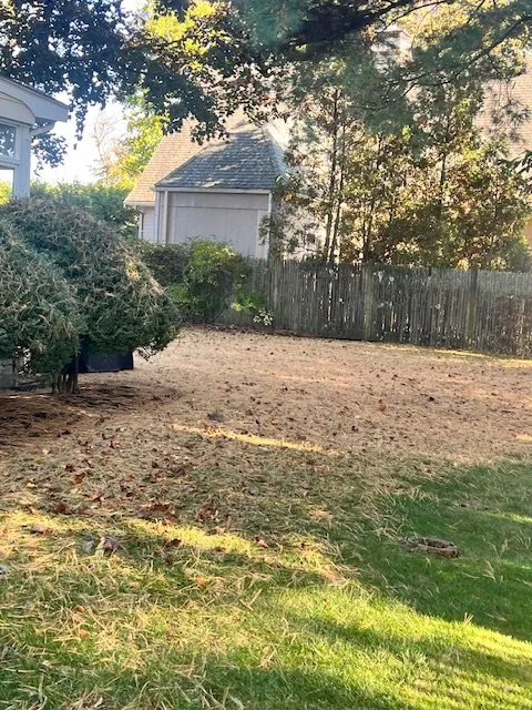 Top-rated lawn mowing service in Lynn, MA - Stevens Landscaping and Tree Service