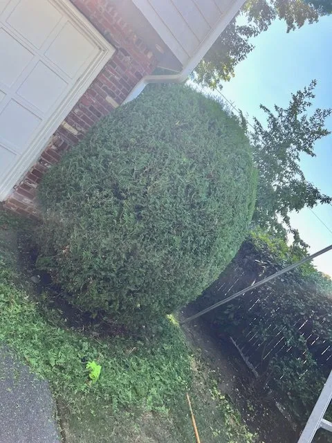 Top-rated garden landscaping experts serving Lynn, MA - Stevens Landscaping and Tree Service