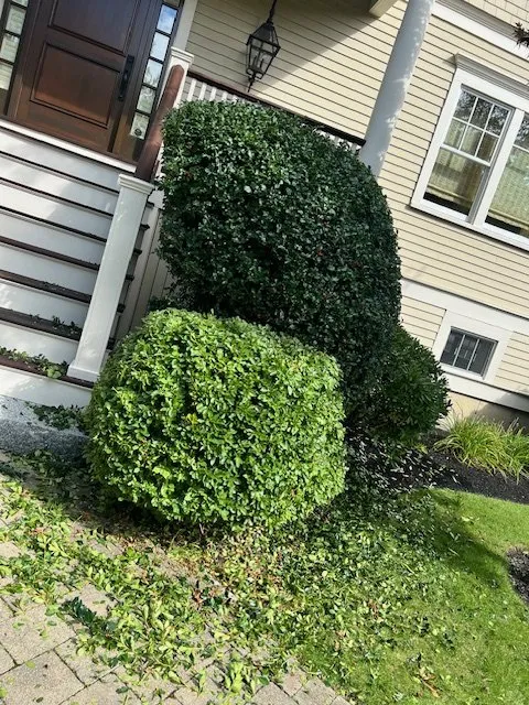 Professional outdoor landscaping experts serving Lynn, MA - Stevens Landscaping and Tree Service